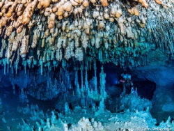 An amazing cave dive at Cenote Otoch Ha near Tulum, Mexic... by Tom St George 